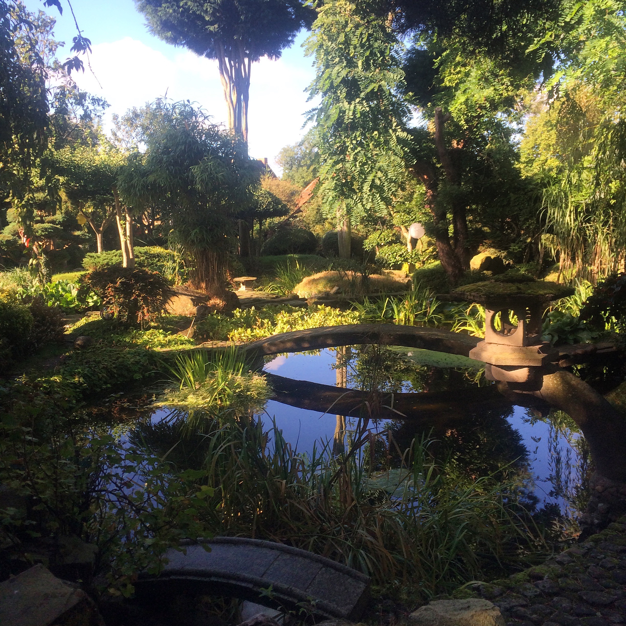 Pureland Meditation Centre