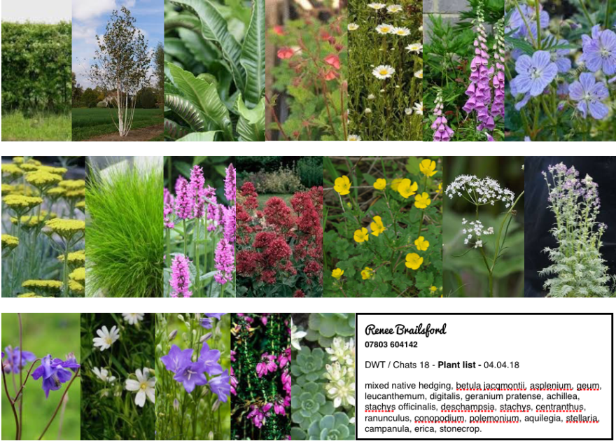 plant list RHS Chats 2018